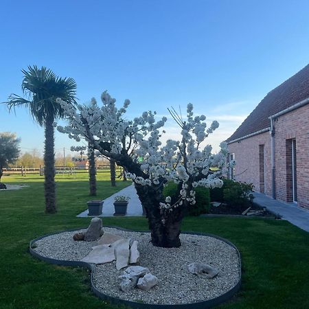 B&B Deso Zonnebeke Exterior foto